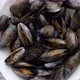 Top View of Shellfish Raw Mussels in Ceramic White Bowl Placed on Stone - VideoHive Item for Sale