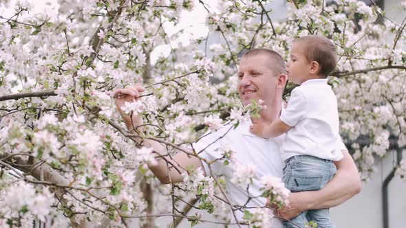 Dad and Little Son Standing Near Flowering Tree in Village