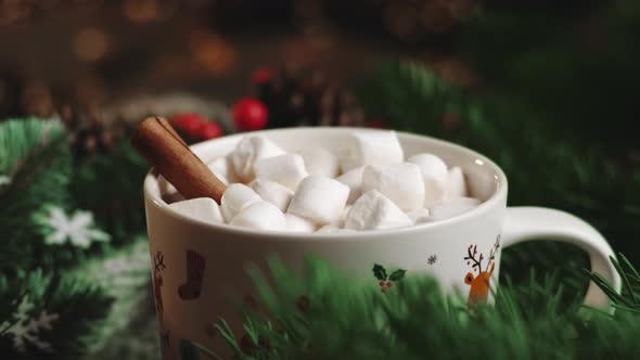 Hot cocoa with marshmallows