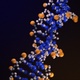 3D Animation Of The Original 3BSE DNA Molecule Model - VideoHive Item for Sale