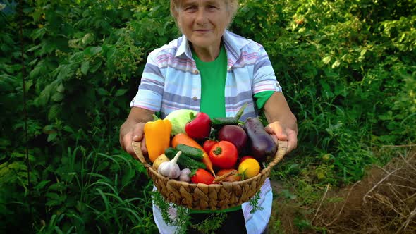 Grandmother Holds Vegetables in Her Hands with Harvest