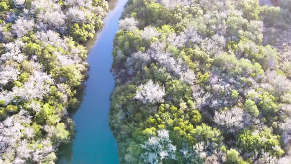 Aerial view of river surrounded by a forest in Uruguay