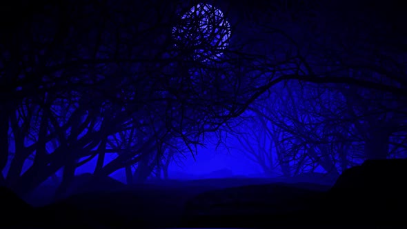 Halloween In Night Forests 02 HD