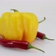 Chili And Paprika Rotation Loop - VideoHive Item for Sale