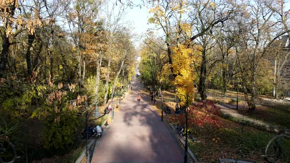 View of Autumn Lviv City Park
