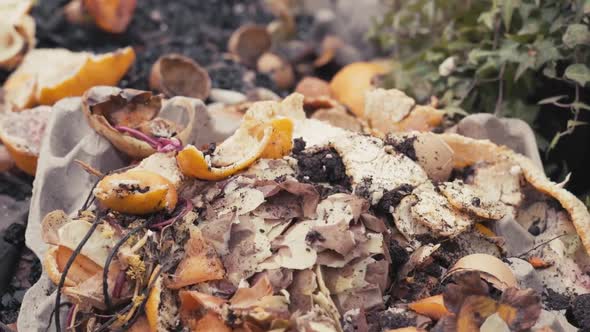 Compost Pile of Food Waste for Fertilizing Vegetable Garden Soil