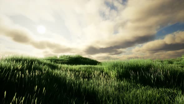 Storm Clouds Above Meadow with Green Grass