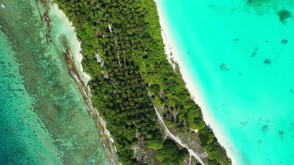 Aerial nature of tranquil bay beach wildlife by aqua blue ocean and white sand background of a picni