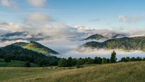 Clouds in Forest Landscape