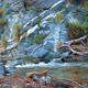 Mountain Rocks with Blue Water Falling Down the River and Broken Tree Branches in Wild Water Stream - VideoHive Item for Sale