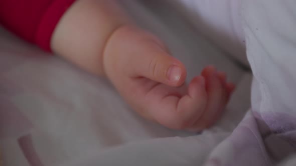 Close Up of a Baby Hand