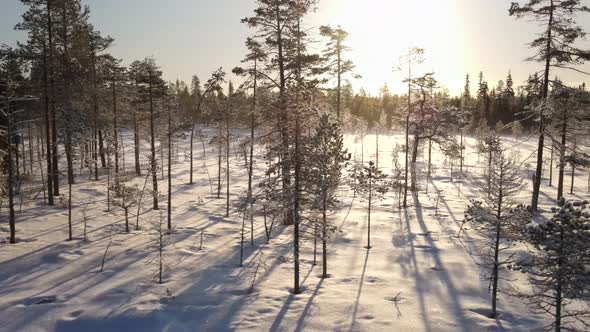 Aerial view of a forest in winter in Overtornea, Sweden. alt