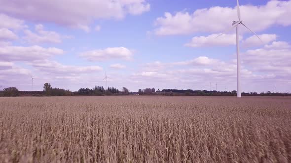 Flying low over corn field and farmland.  Camera moves towards wind turbine with other windmills in