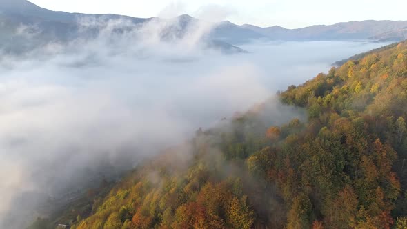 Valley Covered with Mist, Mountain Covered with Forest on the Right, Mountains in Background