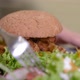 Healthy Burger with Salad - VideoHive Item for Sale