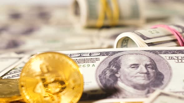 Belonging to Virtual Currency Bitcoin Coins Against Dollars