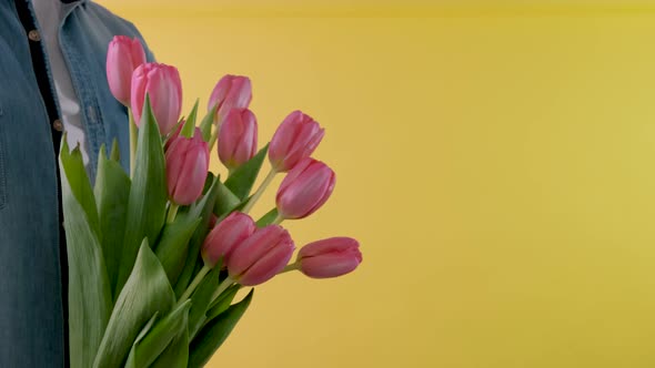 Bouquet of Tulips