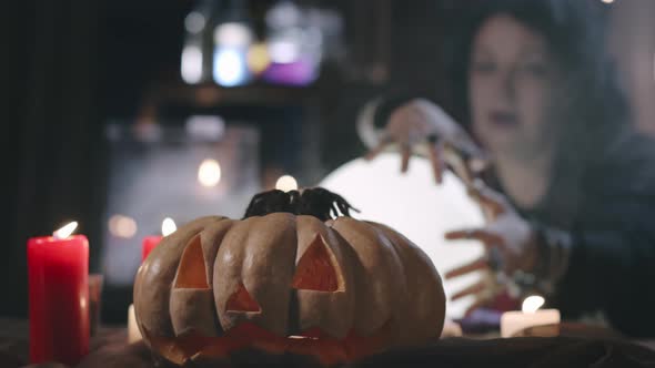 Tarantula Crawling on Pumpkin with Witch Divining on Background alt