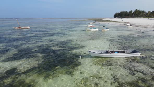 Low Tide in the Ocean Near the Coast of Zanzibar Island Tanzania