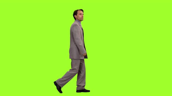 Business Man in Suit Walks on Green Background, Chroma Key