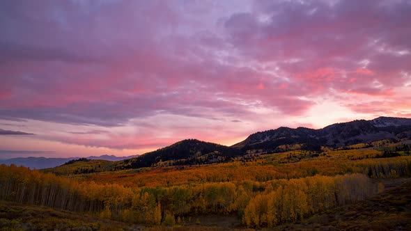 Sunset time-lapse over Aspen Tree forest in Utah from Bonanza Flats