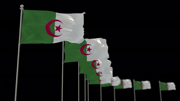 Algeria  Row Of Flags Animation Include Alpha Channel