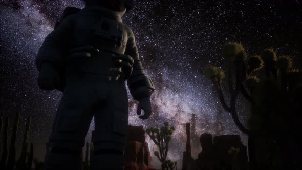 Astronaut and Star Milky Way Formation in Death Valley