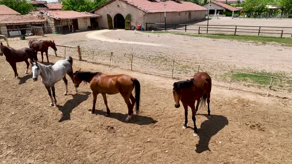 Horse ranch high in the mountains of Cappadocia Aerial view 4 K