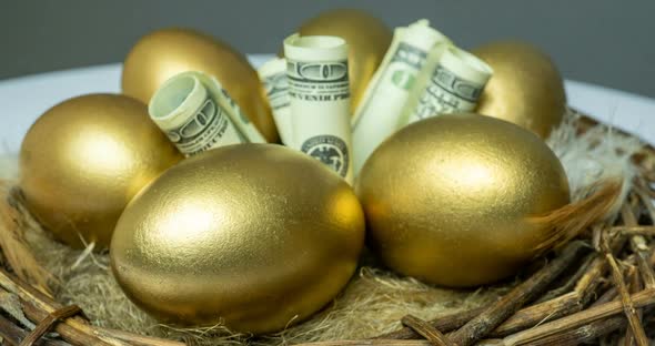 Golden Eggs in a Bird's Nest, with Banknotes, Concept of Investment, Retirement Savings
