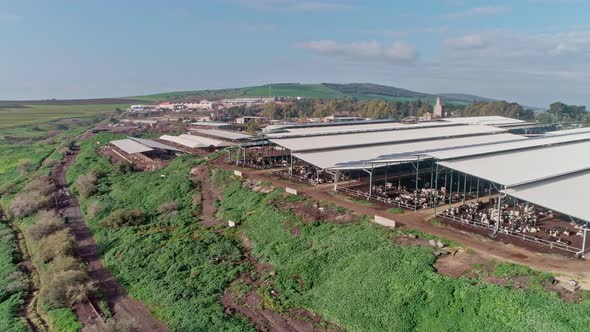 Aerial footage of a large scale dairy farm with many cows under roofs