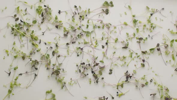 Organic Greens Jump and Fly Filmed on a White Background