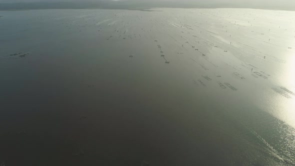 Fish Farming in Lake Bato Luzon, Philippines