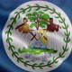 Belize Flag Front - VideoHive Item for Sale