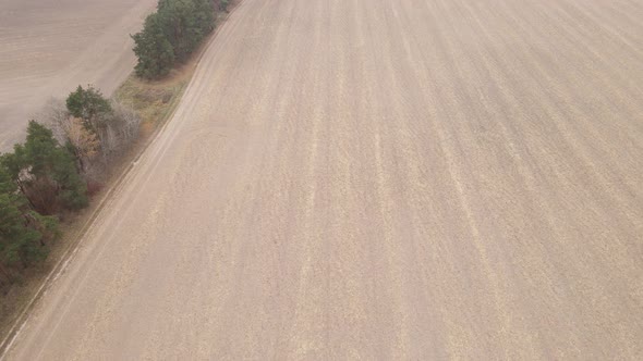 Land in a Plowed Field in Autumn