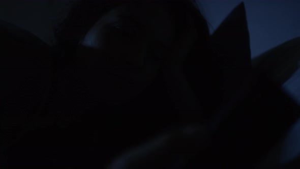 Young Woman Using Smartphone in Dark Room before Sleep