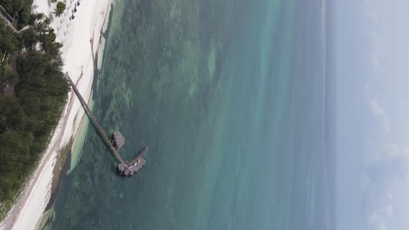 Vertical Video of the Beach on Zanzibar Island Tanzania Aerial View