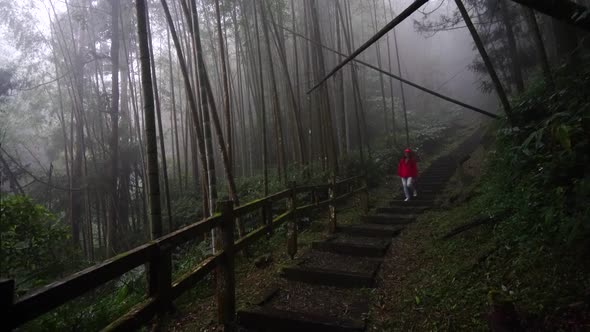 Hiker walking on footbridge in forest in rainy weather