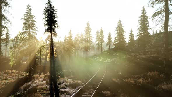 Flight Over Railway