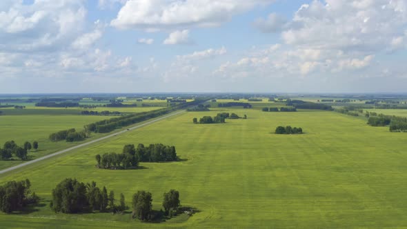 Yellow-green fields of rapeseed go into the distance beyond the horizon.