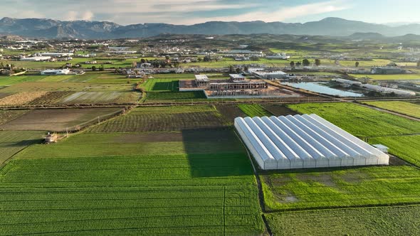 Sunrise Farm Texture 4 K Aerial View