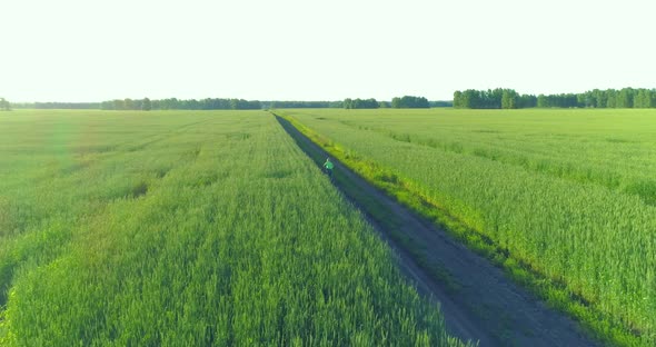 Aerial View on Young Boy, That Rides a Bicycle Thru a Wheat Grass Field on the Old Rural Road