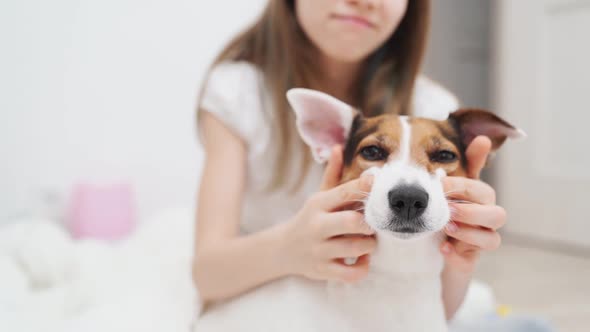 A Teenage Girl Plays in the Morning at Home with a Dog