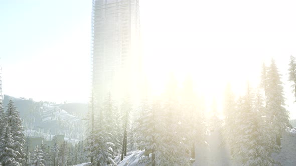 City and Forest in Snow