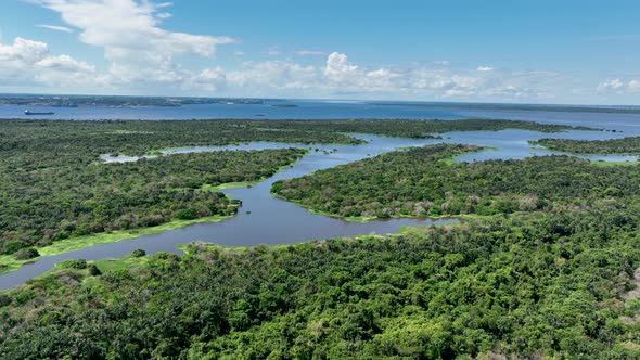 Stunning landscape of Amazon Forest at Amazonas State Brazil.