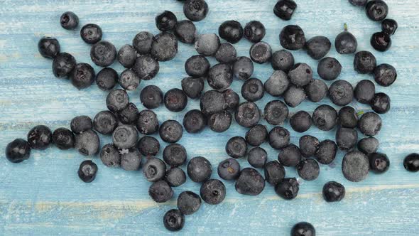 Defrosting Frozen Blueberry. Timelapse of Unfreezing, Ice Melting of Fruits, Berries on Blue Surface