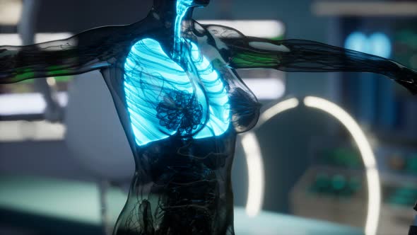 Human Lungs Radiology Exam in Laboratory alt