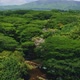 Aerial View of Wailua Falls on Kauai - VideoHive Item for Sale