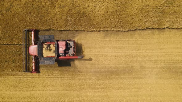 Aerial View  Resolution Modern Combine Harvester Collects Ripe Wheat