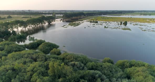 Aerial view of corn field along river Maas, The Netherlands.