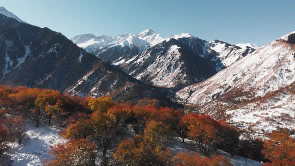 Aerial View of Mountain Landscape of Autumn Forest on the River